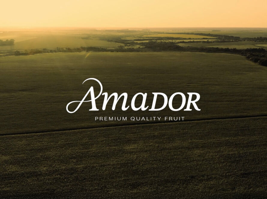 AMADOR_Made_of_Family_Planeta_Miller